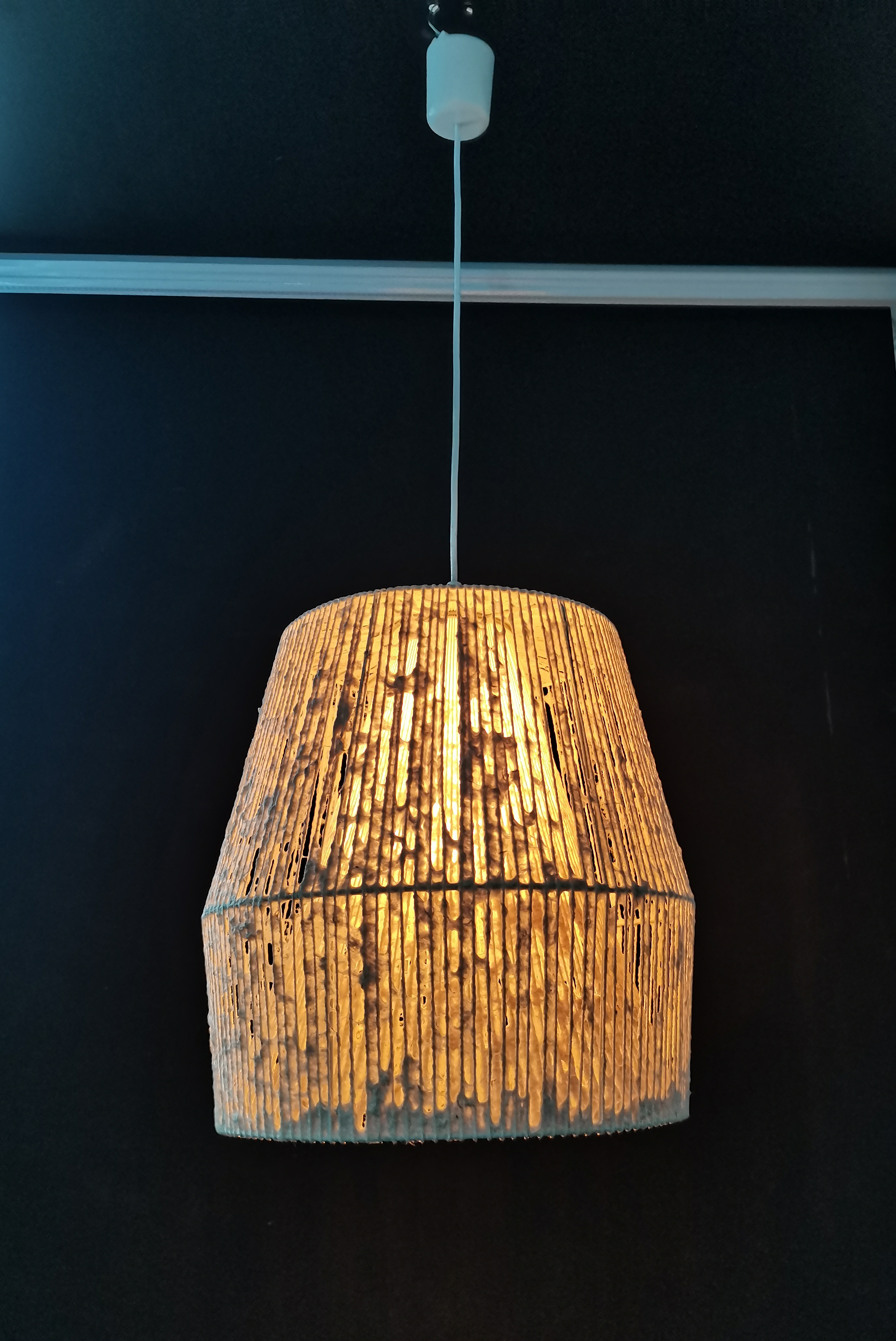 pendant lamp,ceiling lamp