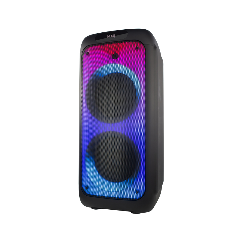 Temeisheng Bluetooth Portable Speaker