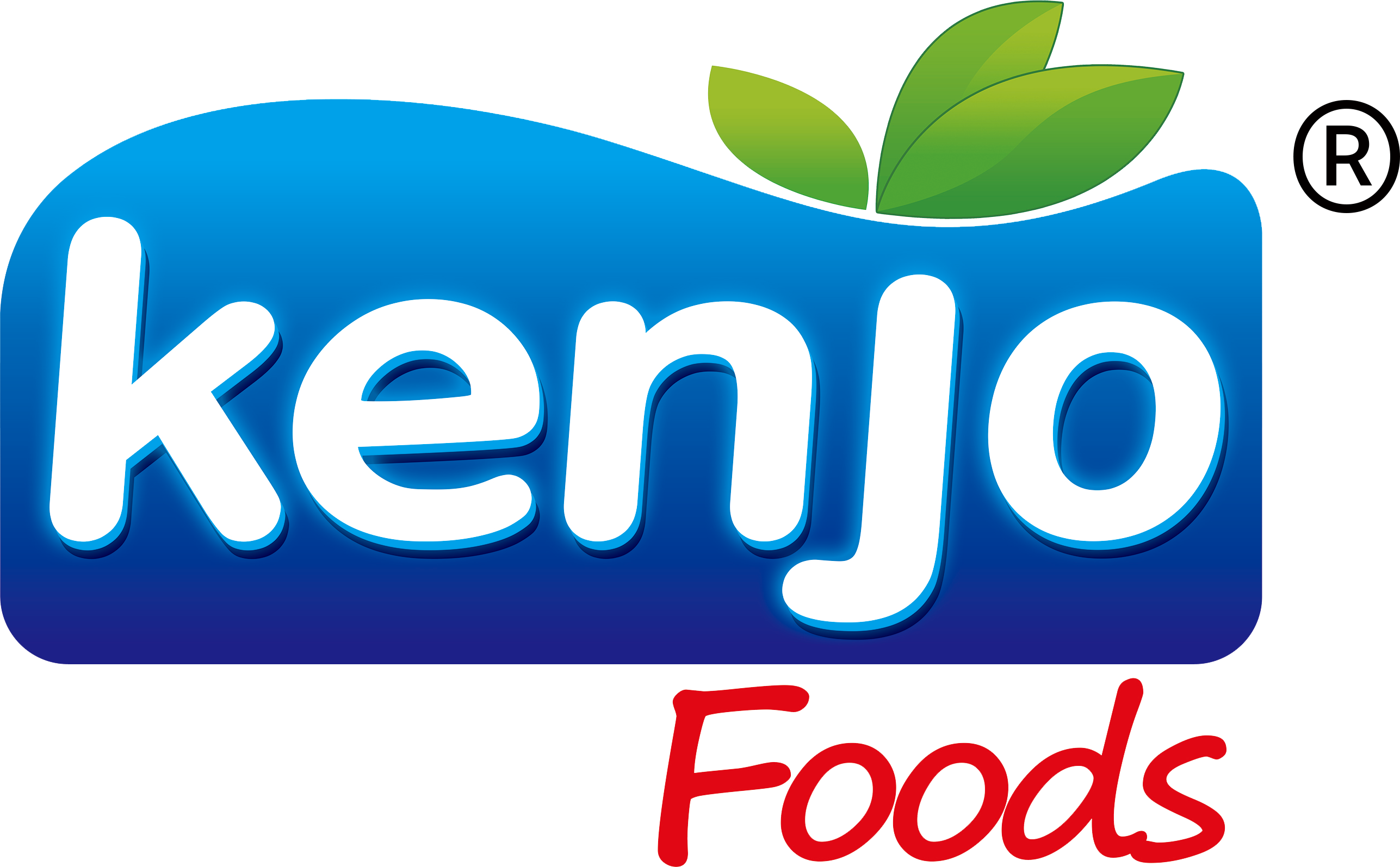 XIAMEN KENJO FOODS COMPANY LIMITED