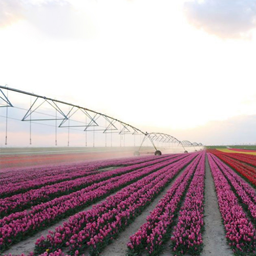 Anhui Airy Agricultural Equipment Co., Ltd. – tela de algodón 1