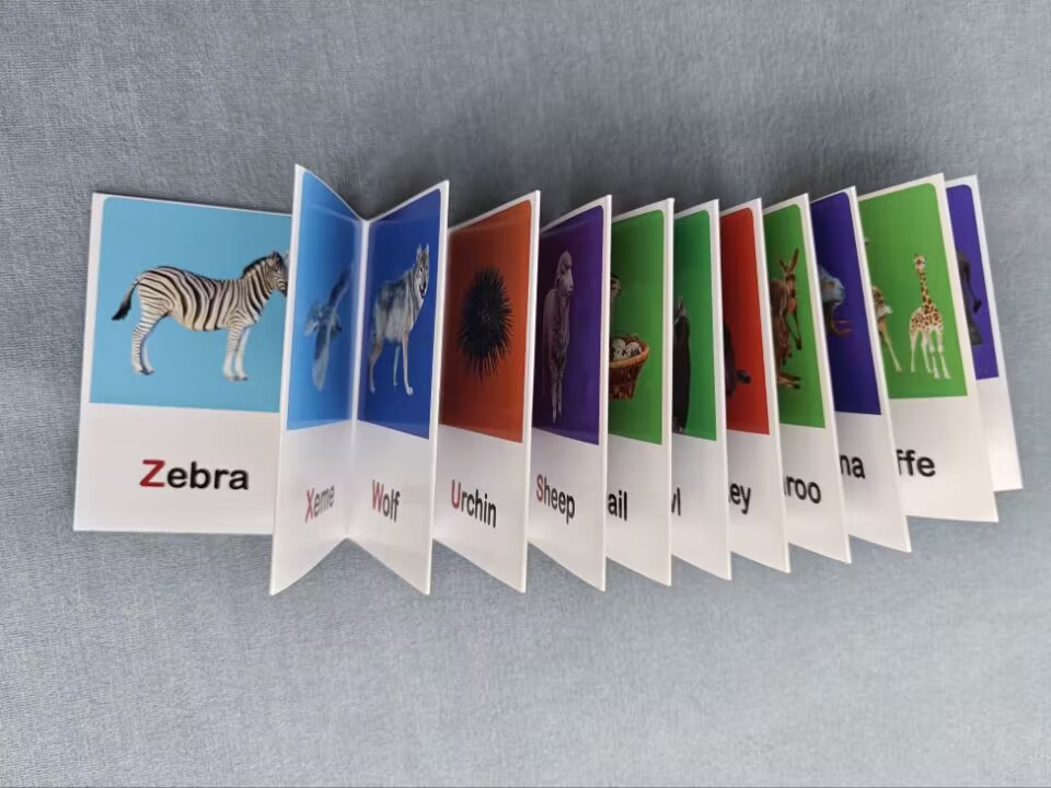 HEFEI COLOR WORLD CO.,LTD. – carpeta de cartón 4