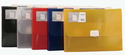 Portable case with handle