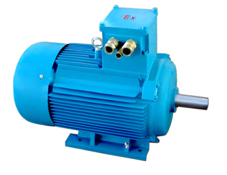 Explosion-proof Three Phase Marine Induction Motor
