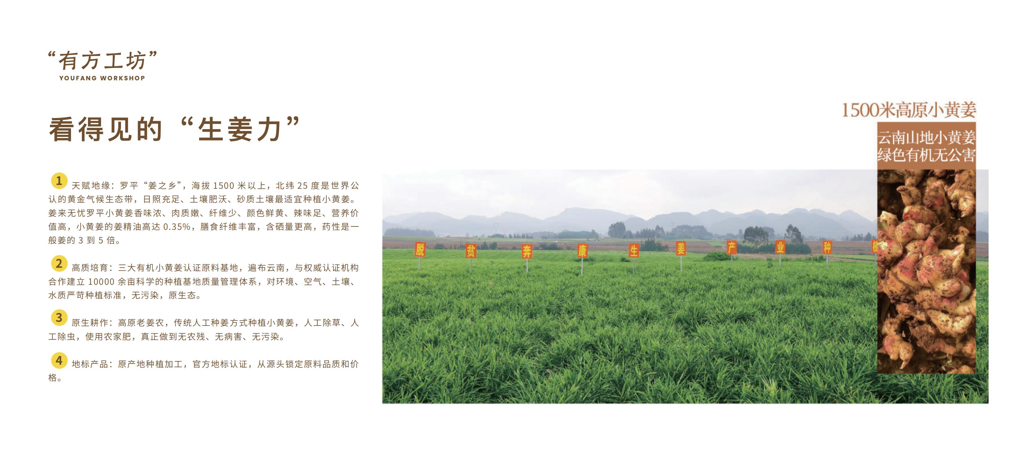 Yunnan Luoping Dingtai Food Development Co., Ltd. – té negro 2