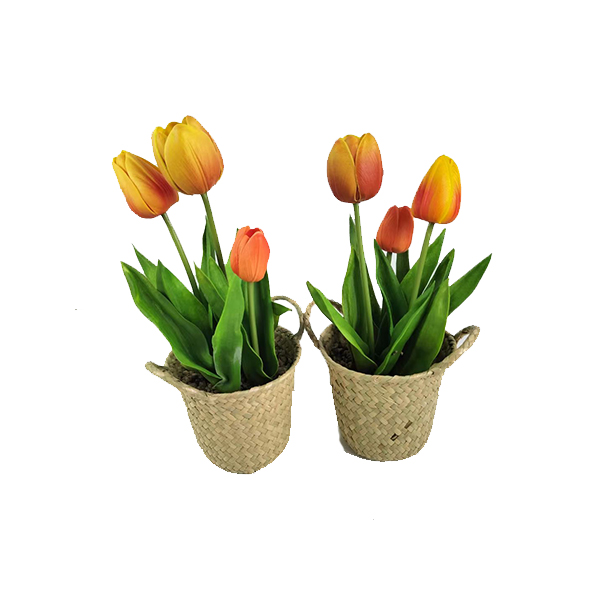 High Quality Onion Grass Artificial Home Decoration Plastic Onion Grass Wholesale Decoration Plants