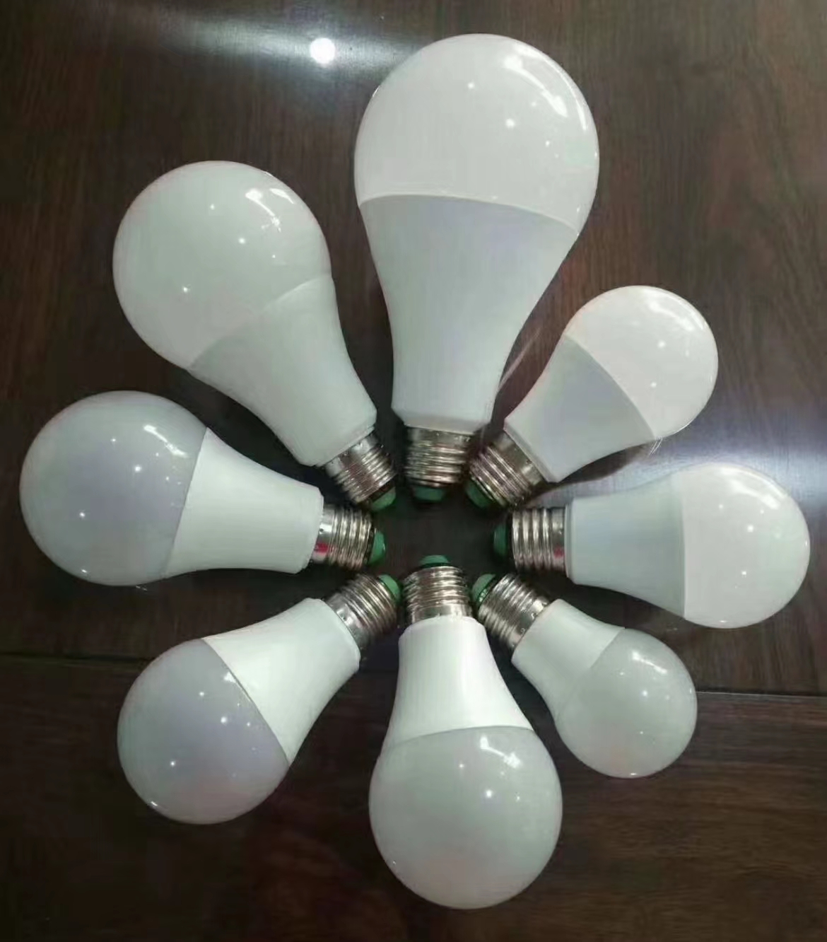 ANQING RILIGHT INDUSTRY AND TRADE CO.,LTD. – tubo fluorescente 2