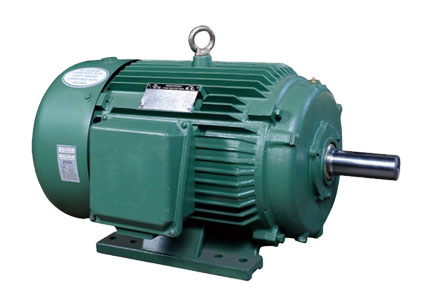 NEMA Premium High Efficiency Motor with A and B