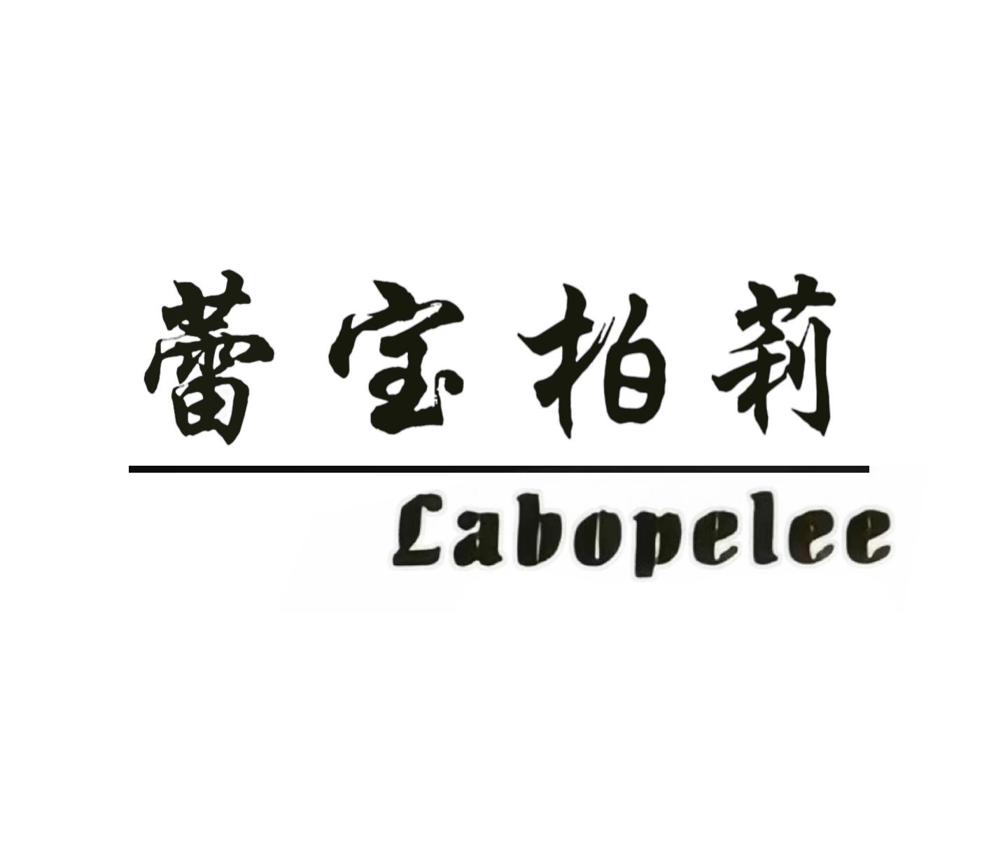 Guangzhou Leili Import and Export Trading Co., Ltd.