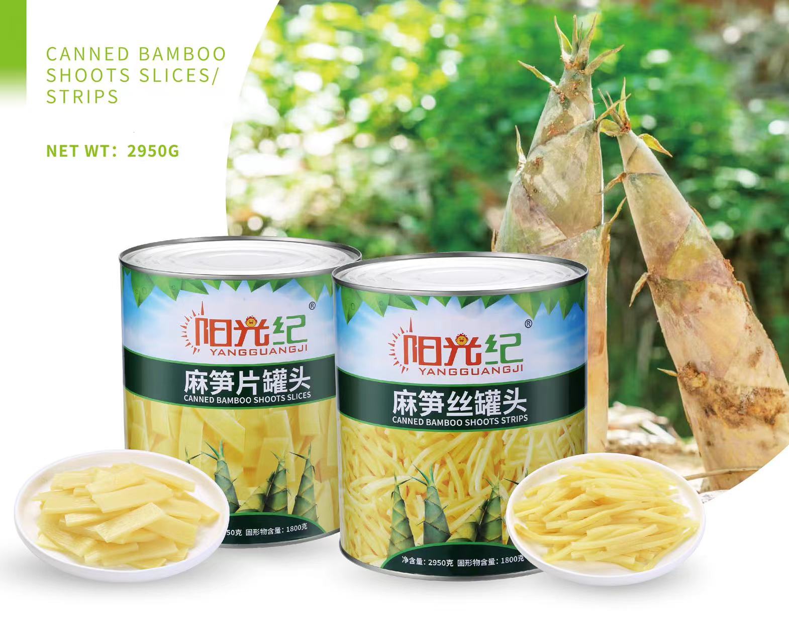 JIEYANG CHENGFENG INDUSTRIAL CO., LTD. – bicicleta de montaña 3