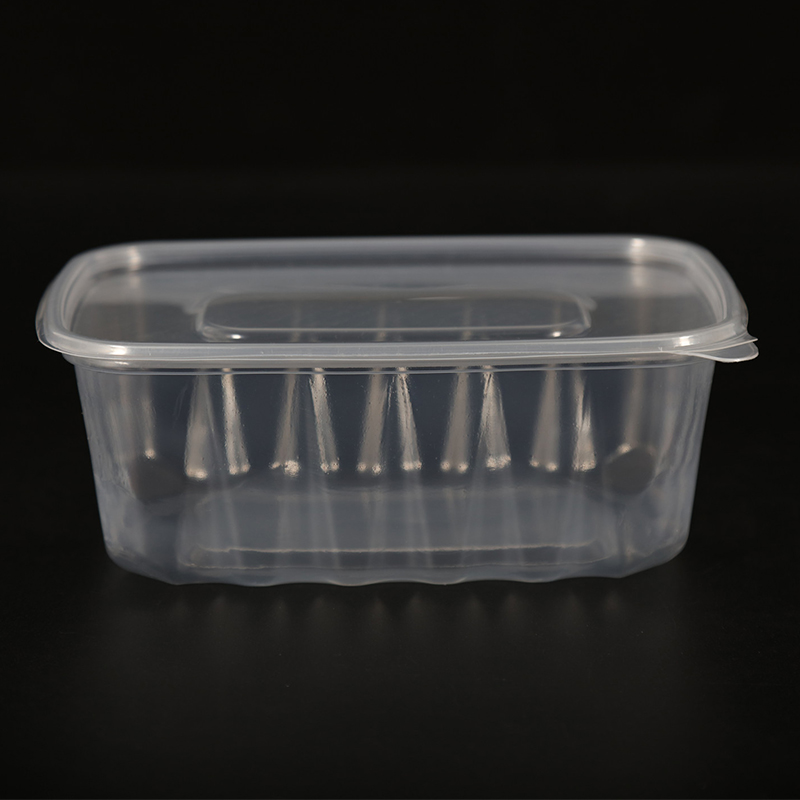 FUJIAN HUASHENG METO GREEN TECH CO., LTD – cajas de plástico 1
