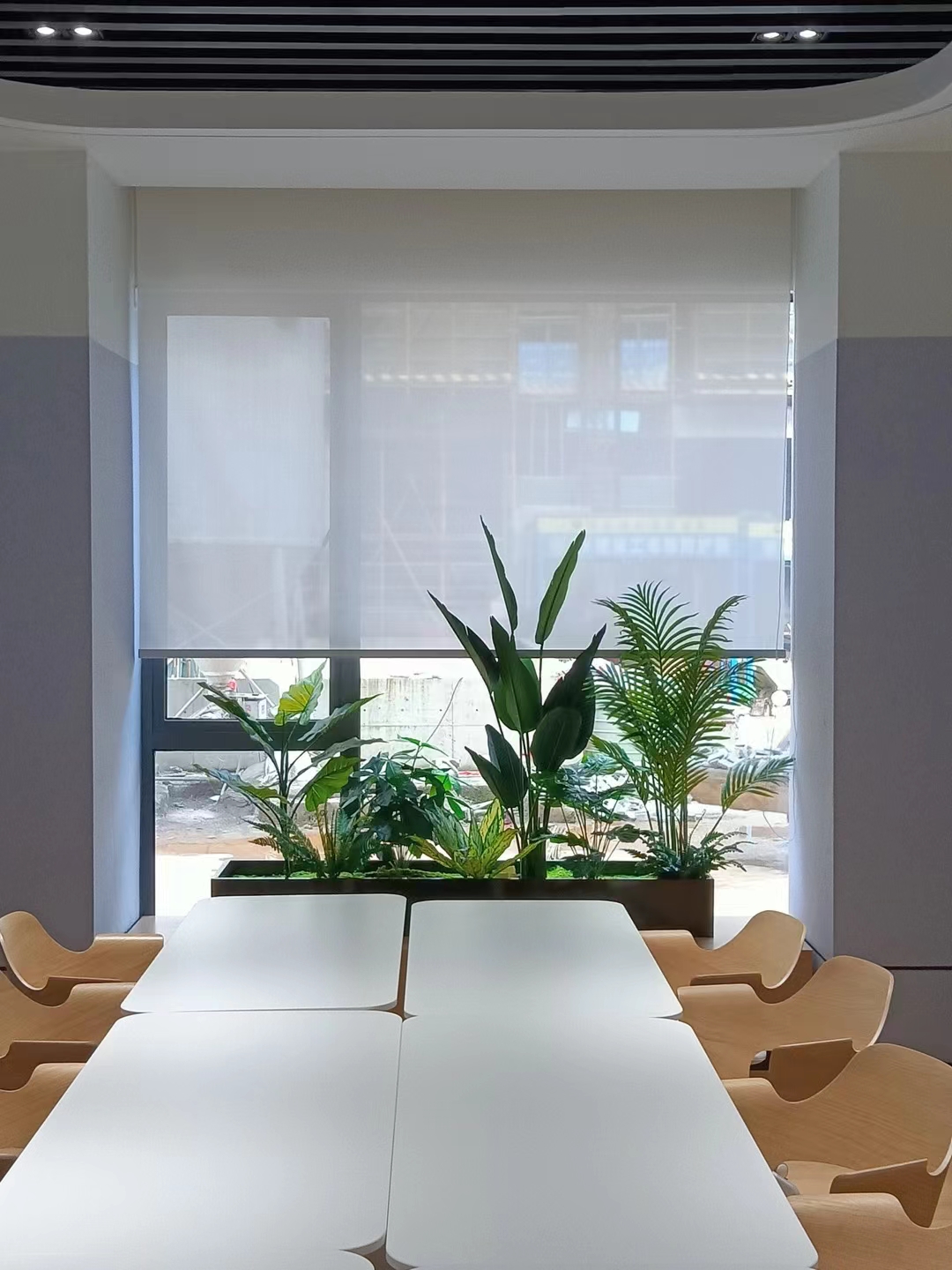 Sunscreen Roller Blinds