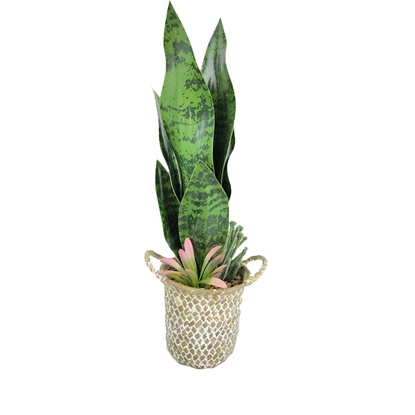 Faux Snake Plant YiYi Crafts Plastic Simulation Green Plants Artificial Bonsai Snake Plant