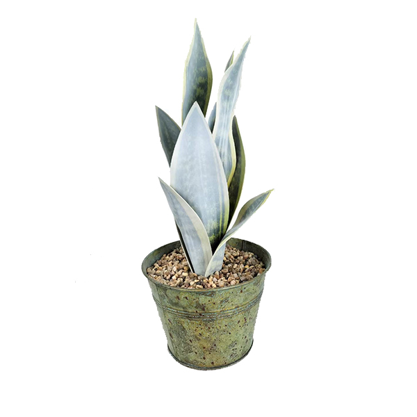 Faux Snake Plant YiYi Crafts Plastic Simulation Green Plants Artificial Bonsai Snake Plant