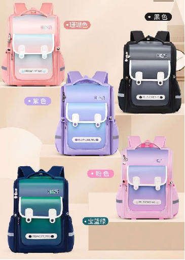 Student schoolbag
