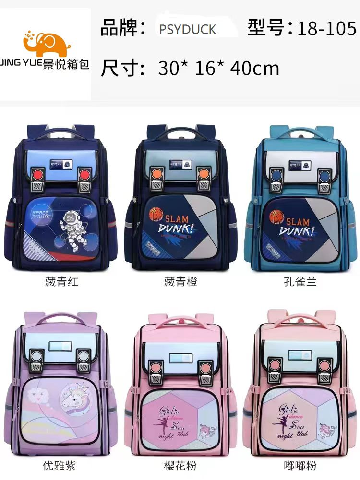 Student schoolbag