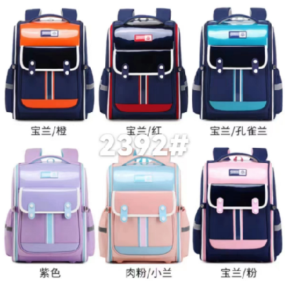 Student schoolbag