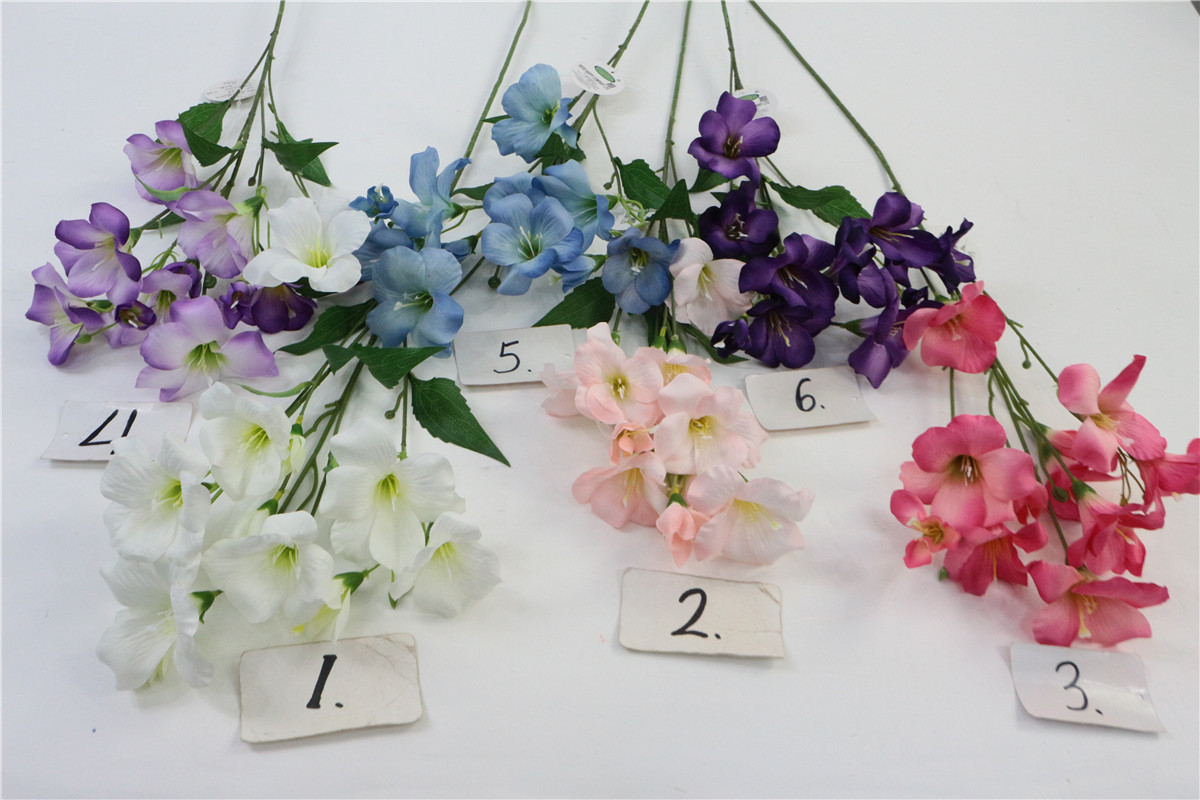 Single 7-branch vine
