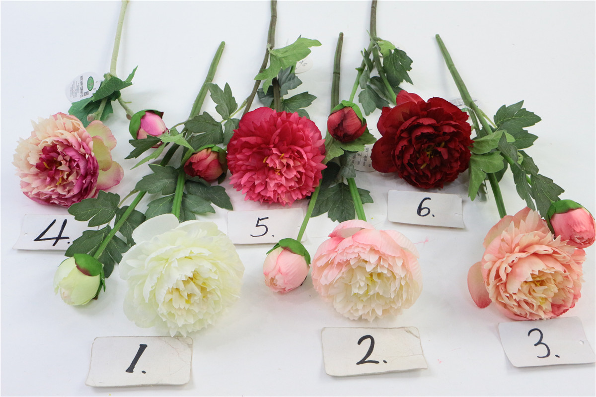 2 head peony