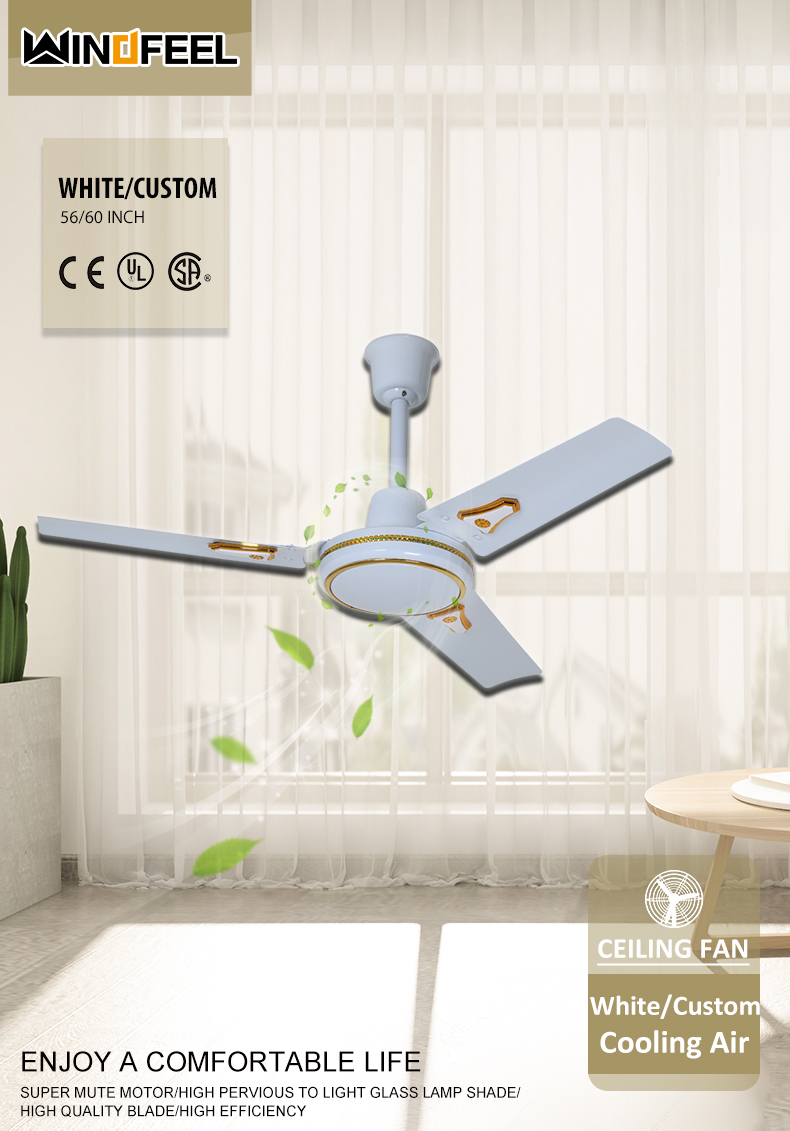 Ceiling fan