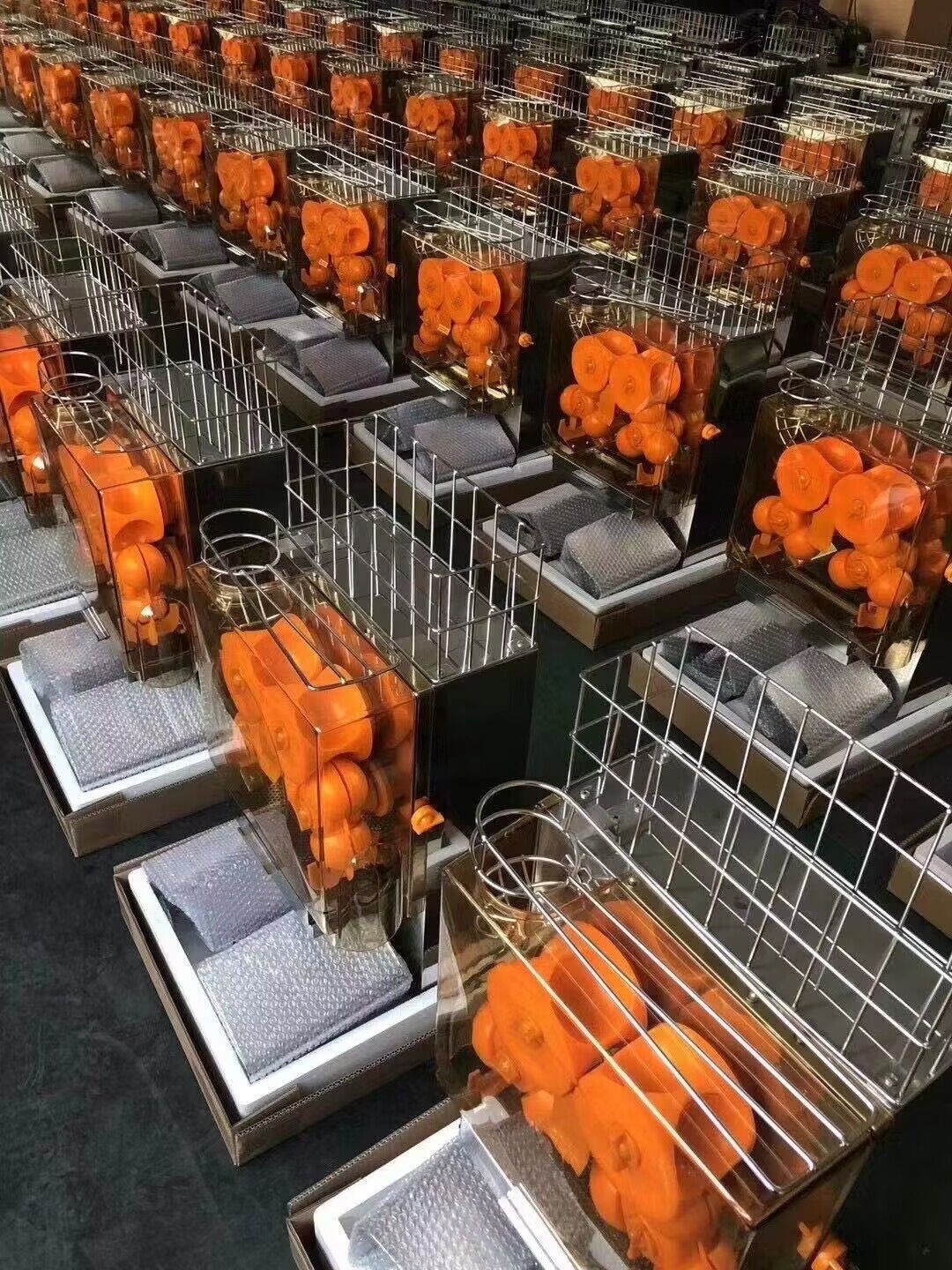 Nantong Wanderfu Machinery Co., Ltd. – juicer 1