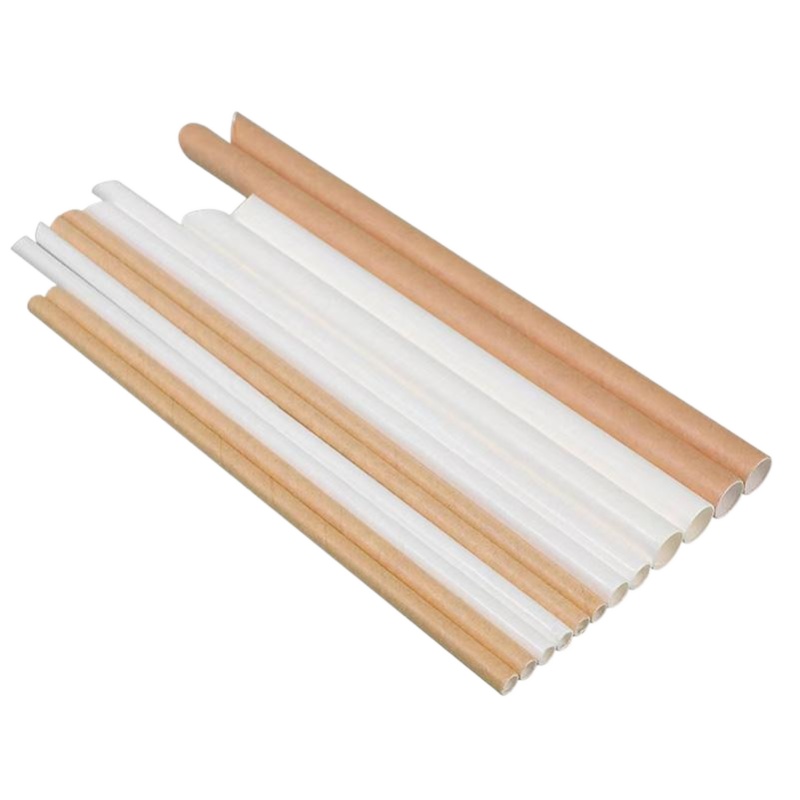 Paper Straw