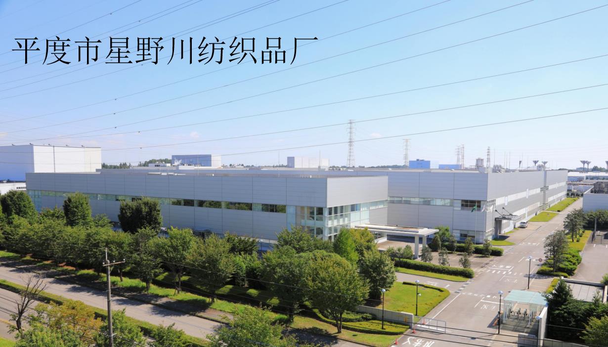 Qingdao Ruijiayuan Textile Co., Ltd. – Polyester quilted quilts 1