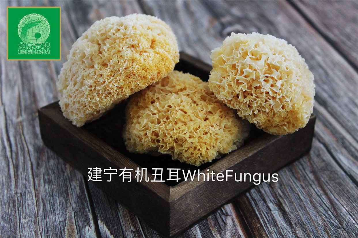 White Fungus