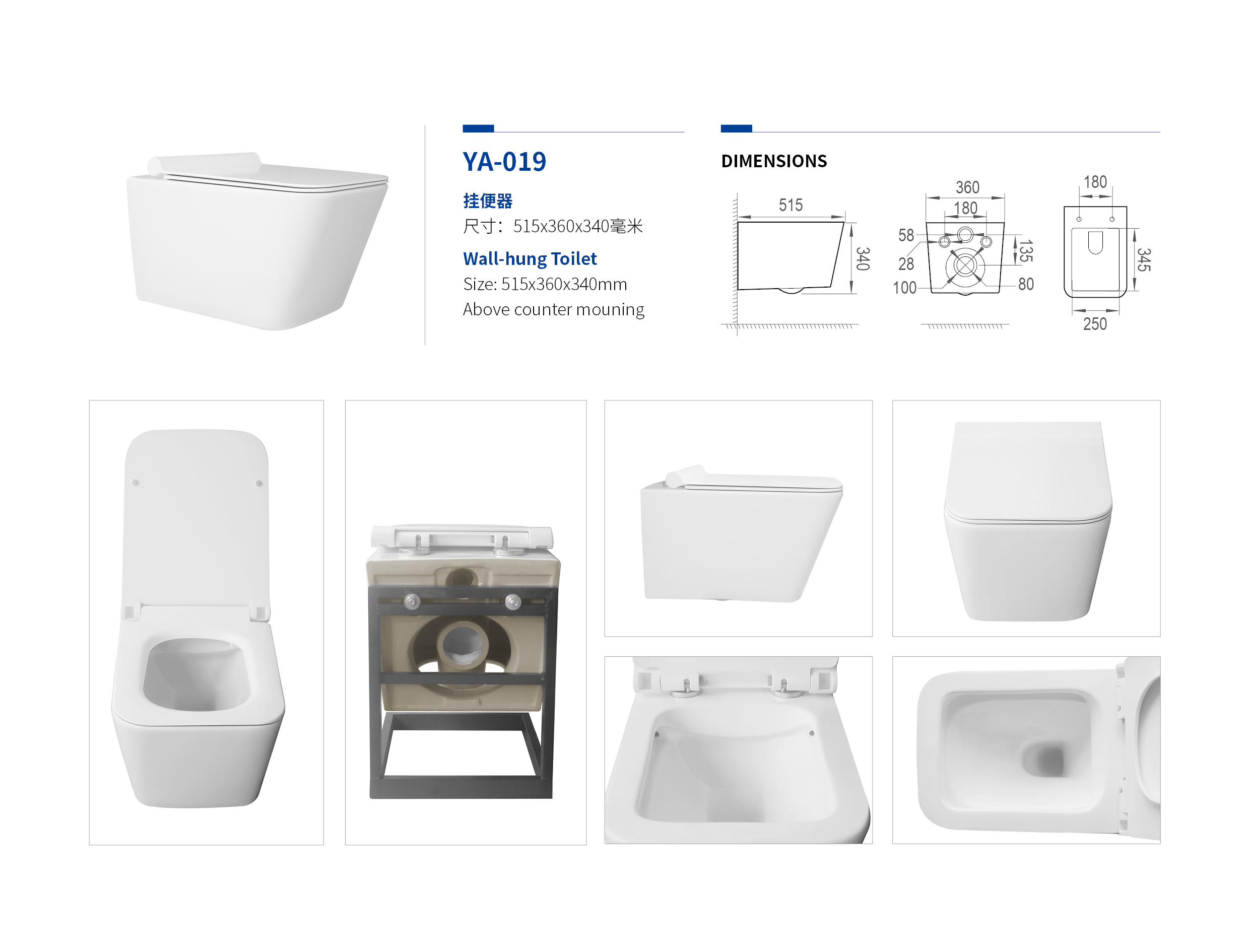 Wall Hung Toilet