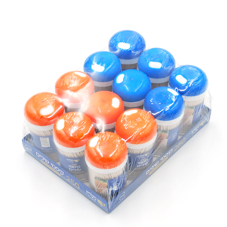 250pcs Toothpicks Plastic Pot