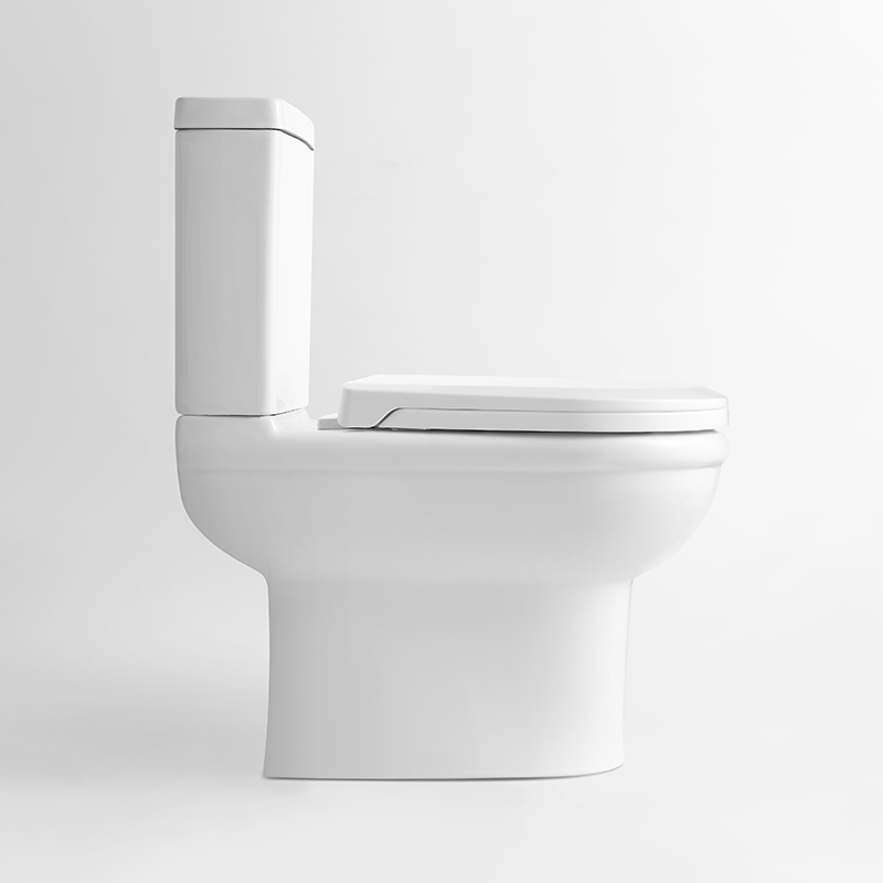 Sanitary ware washdown two piece toilet