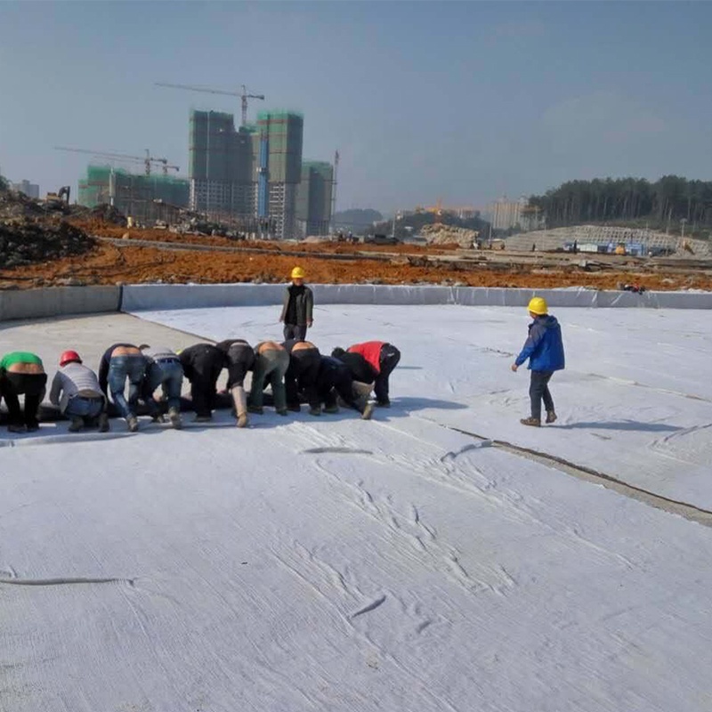 PP Pet Non Woven Geotextile