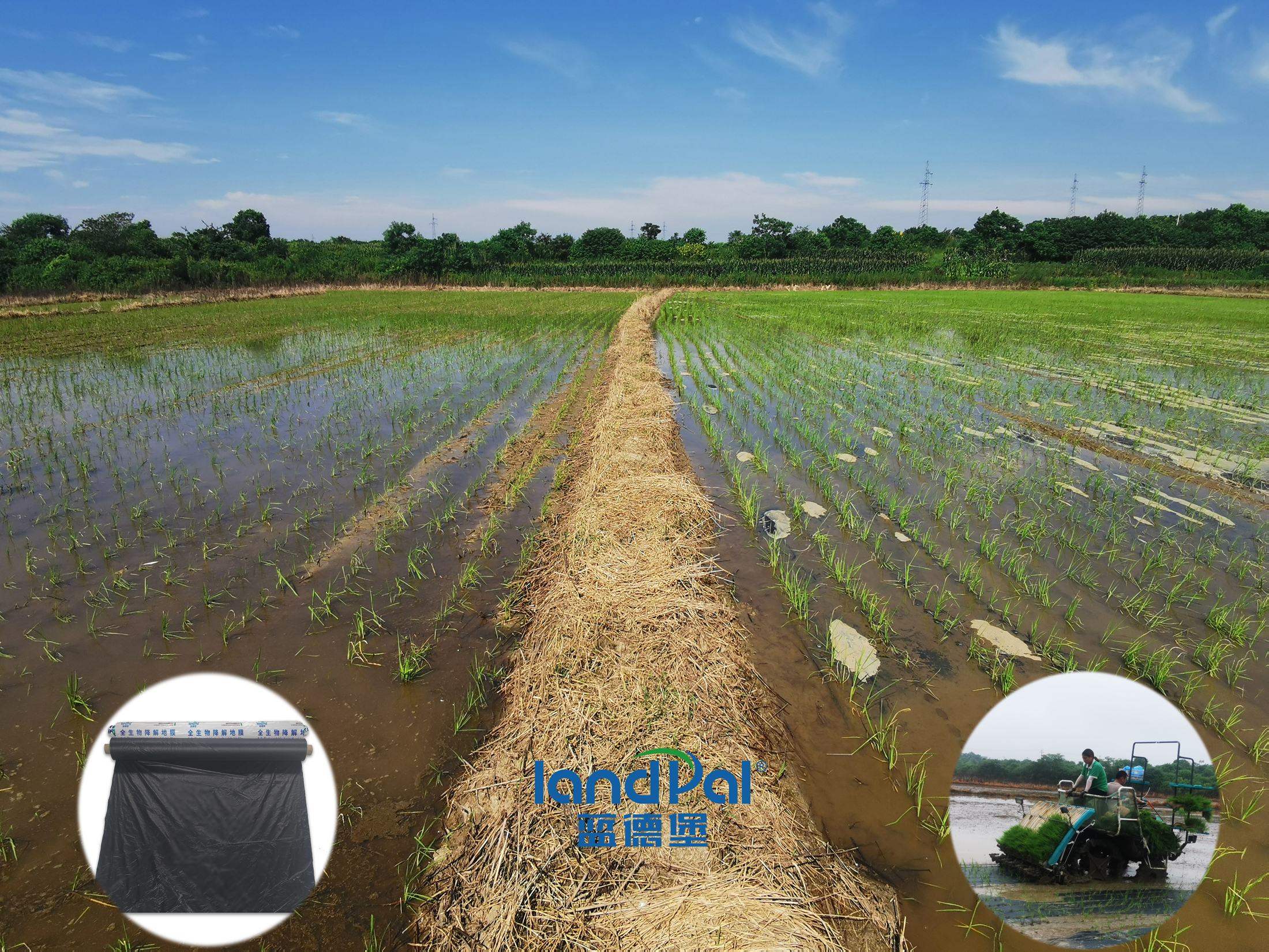 Anhui Yuanpeng International Trade Co.,Ltd – matriz de metal 2