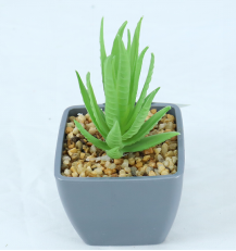 K AND J FUTURE CO.LTD – Dry flower decoration 2