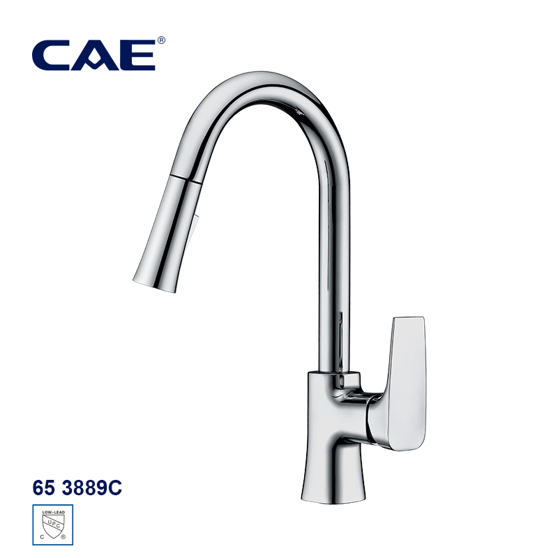 CAE Single-lever pull-down kitchen faucet 65 3889C