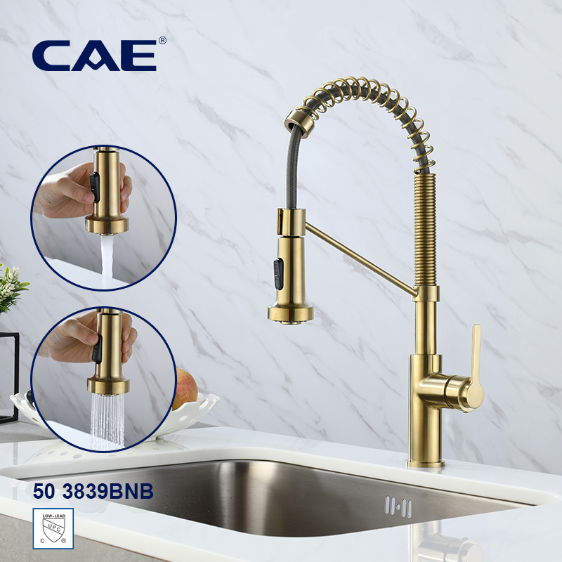 CAE Single-lever pull-down kitchen faucet 50 3839BNB