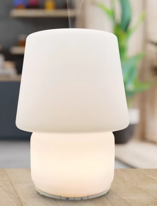 Gift - Aroma Diffuser