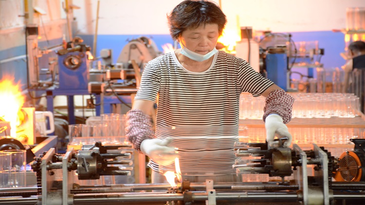 Qingdao Ranxing International Trading Co., Ltd. – abono orgánico 3