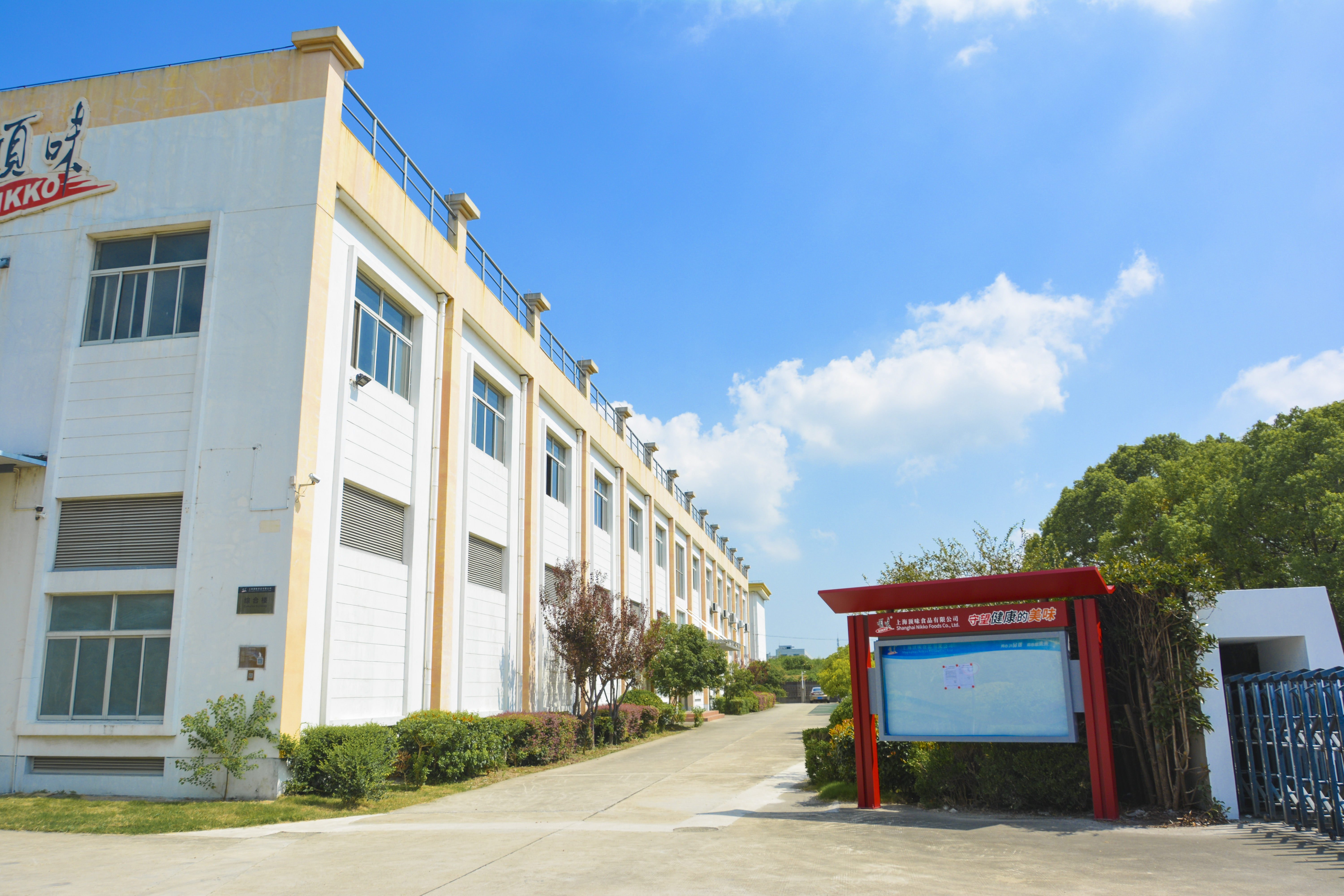 Shanghai Dingwei Food Co., Ltd. – 面条 1