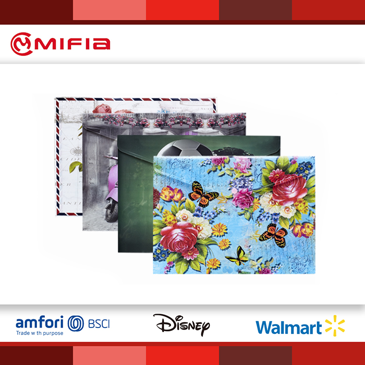 MIFIA Printed Envelope Folder Document Folder