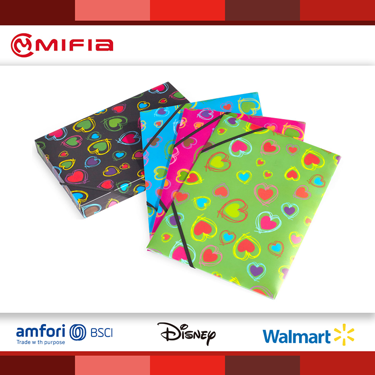MIFIA Elastic Folder Plastic File with Printing