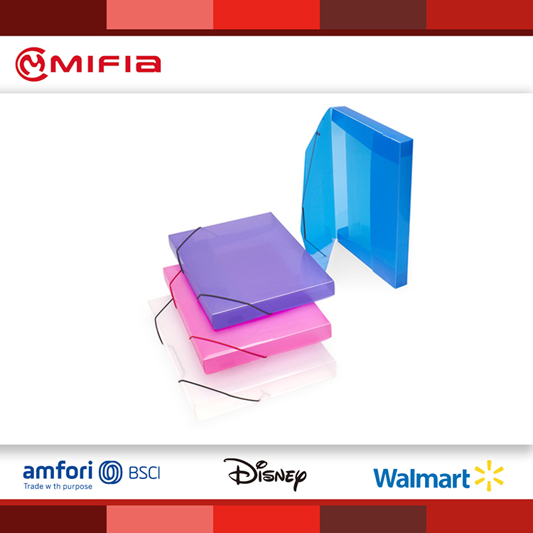 MIFIA Translucent Filing Box with Elastic Band
