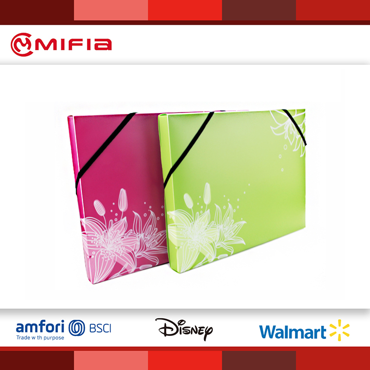 MIFIA Printed Filing Box with Elastic Band