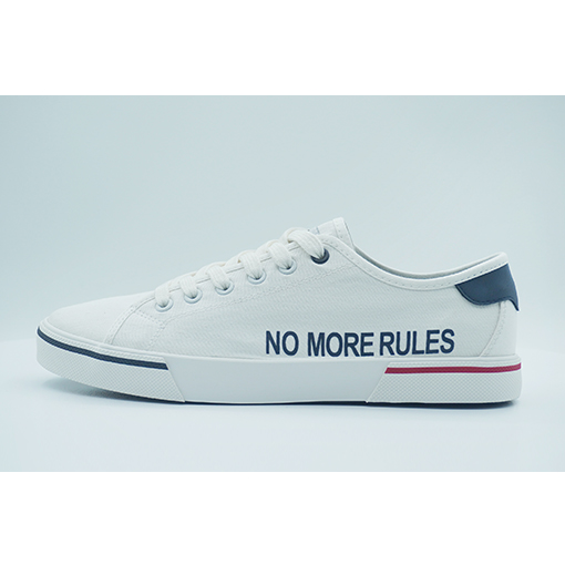 Sneaker/Canvas/Men