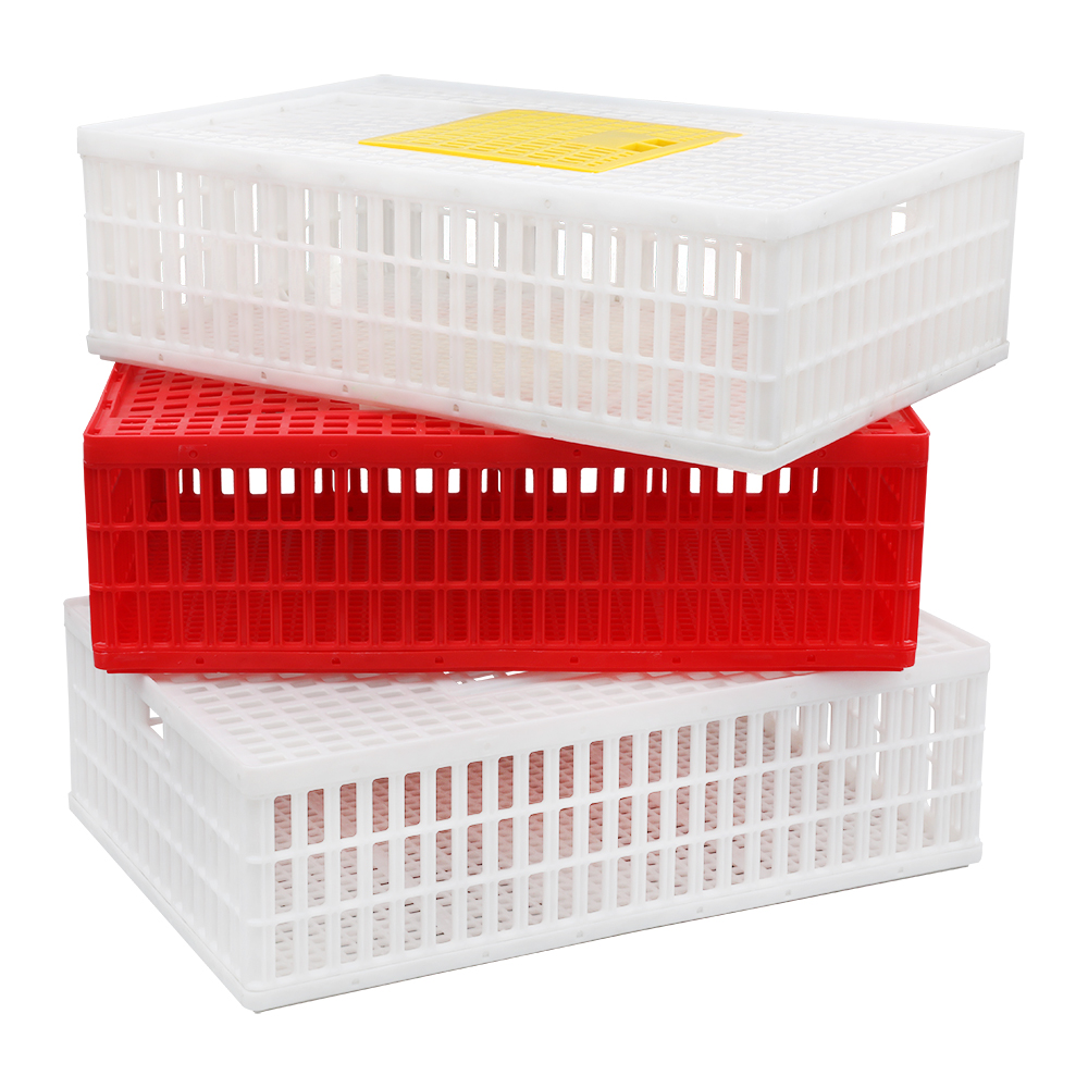 Chicken transport crate