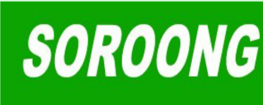 Dongyang Shuanglong Auto Accessories Co., Ltd