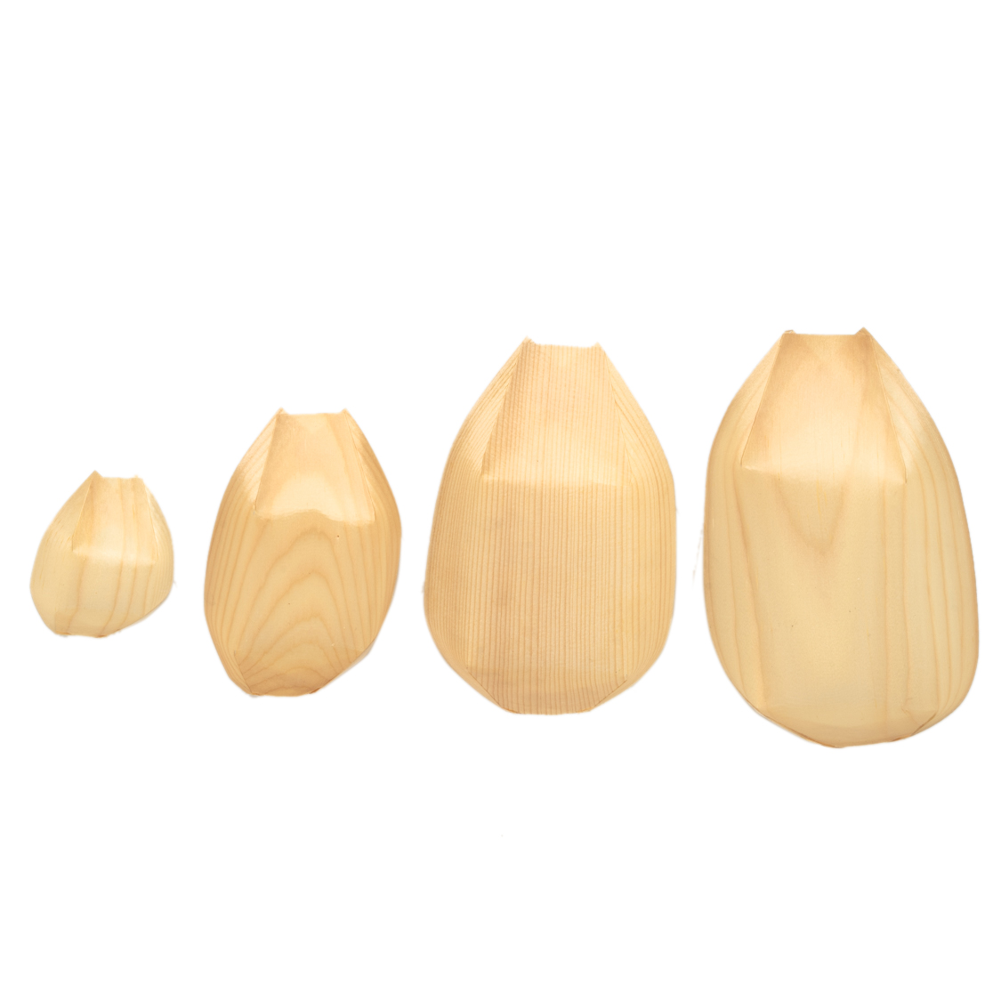 Sushi wooden tableware