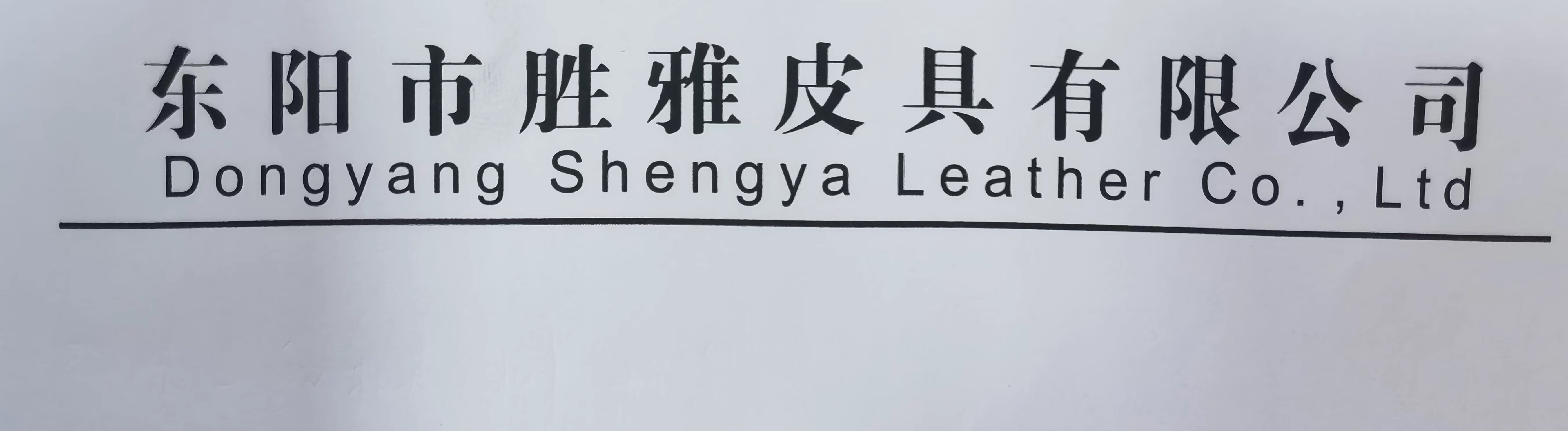 Dongyang Shengya Leather Co., LTD