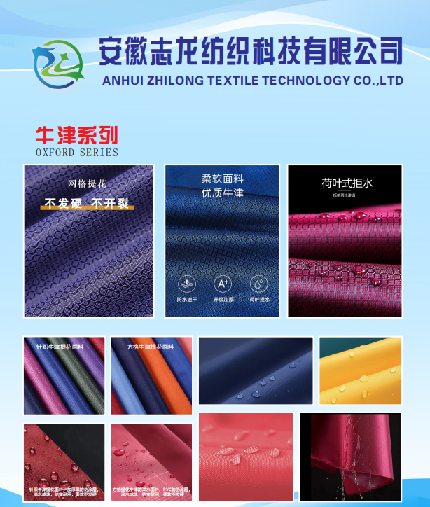 ANHUI ZHILONG TEXTILE TECHNOLOGY CO.,LTD – zapatos de tacón 2