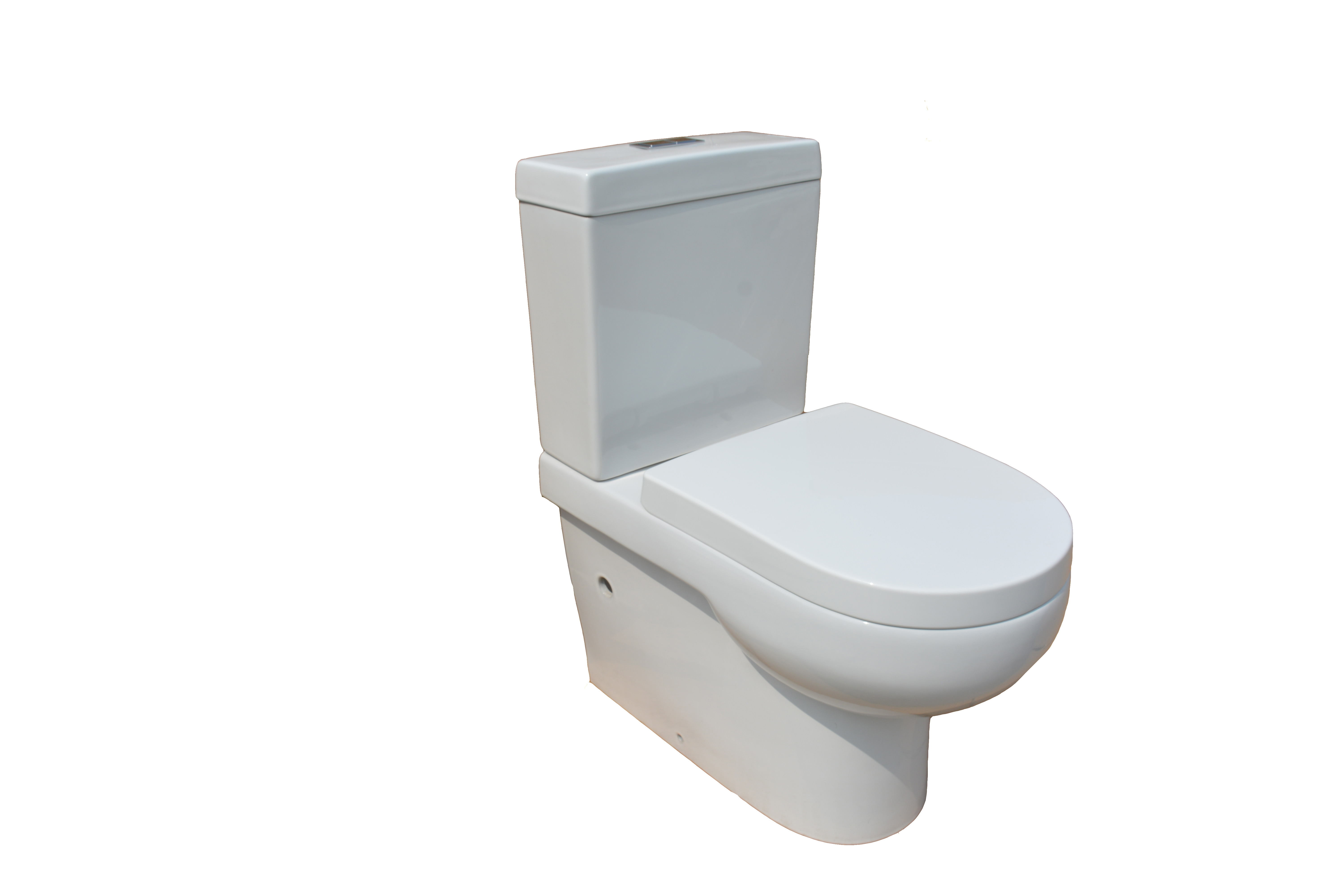 Two Piece Toilet Wash Down P-trap 220 Rough-in RIMLESS