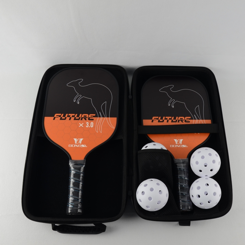 Pickleball paddle set